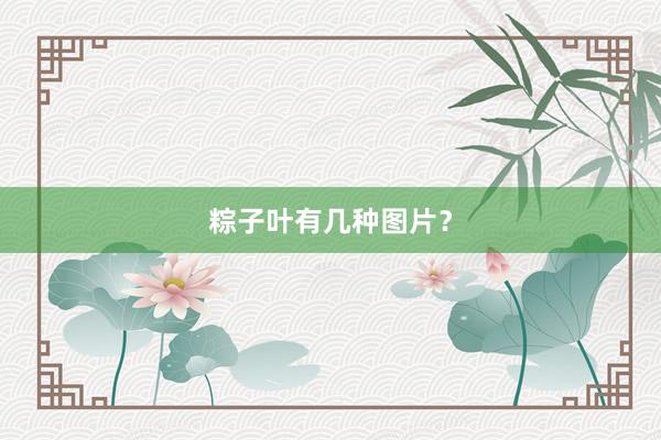 粽子叶有几种图片？