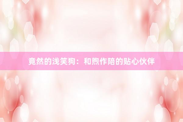 竟然的浅笑狗:和煦作陪的贴心伙伴