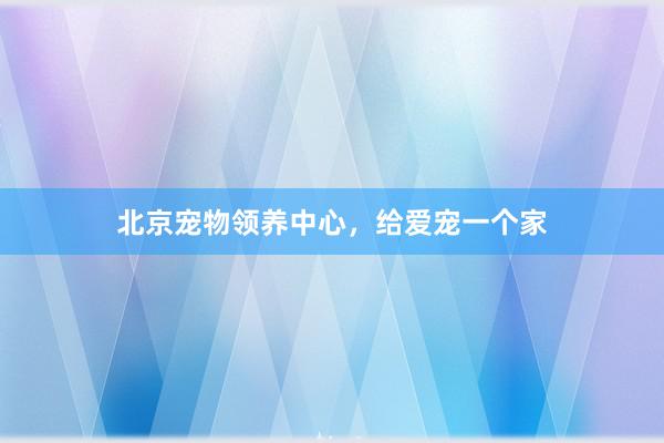 北京宠物领养中心,给爱宠一个家